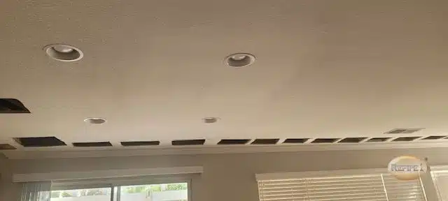 Articles 12 golden-pheasant-ln-murrieta