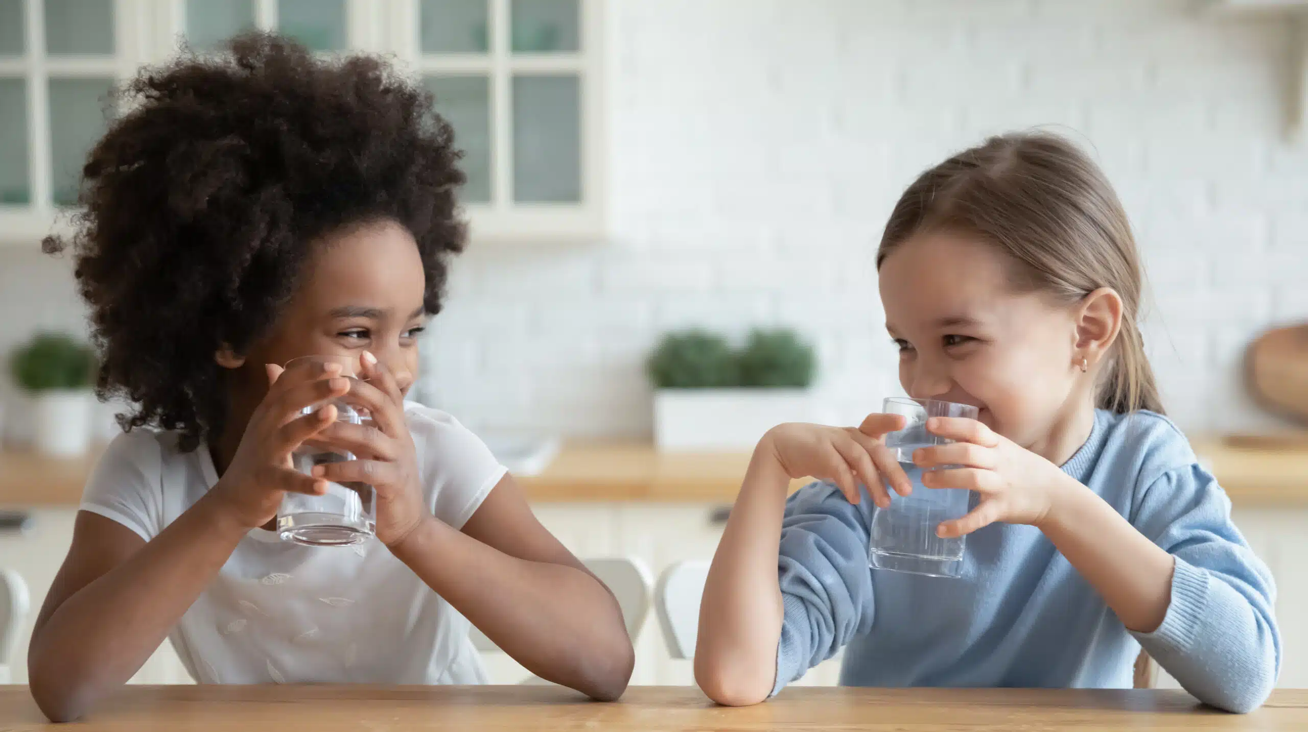 Repipe1 (lp-pmax) 8 Repipe1 (lp-pmax)