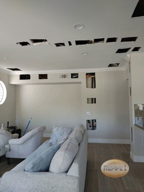 image12 (3) (1).jpeg