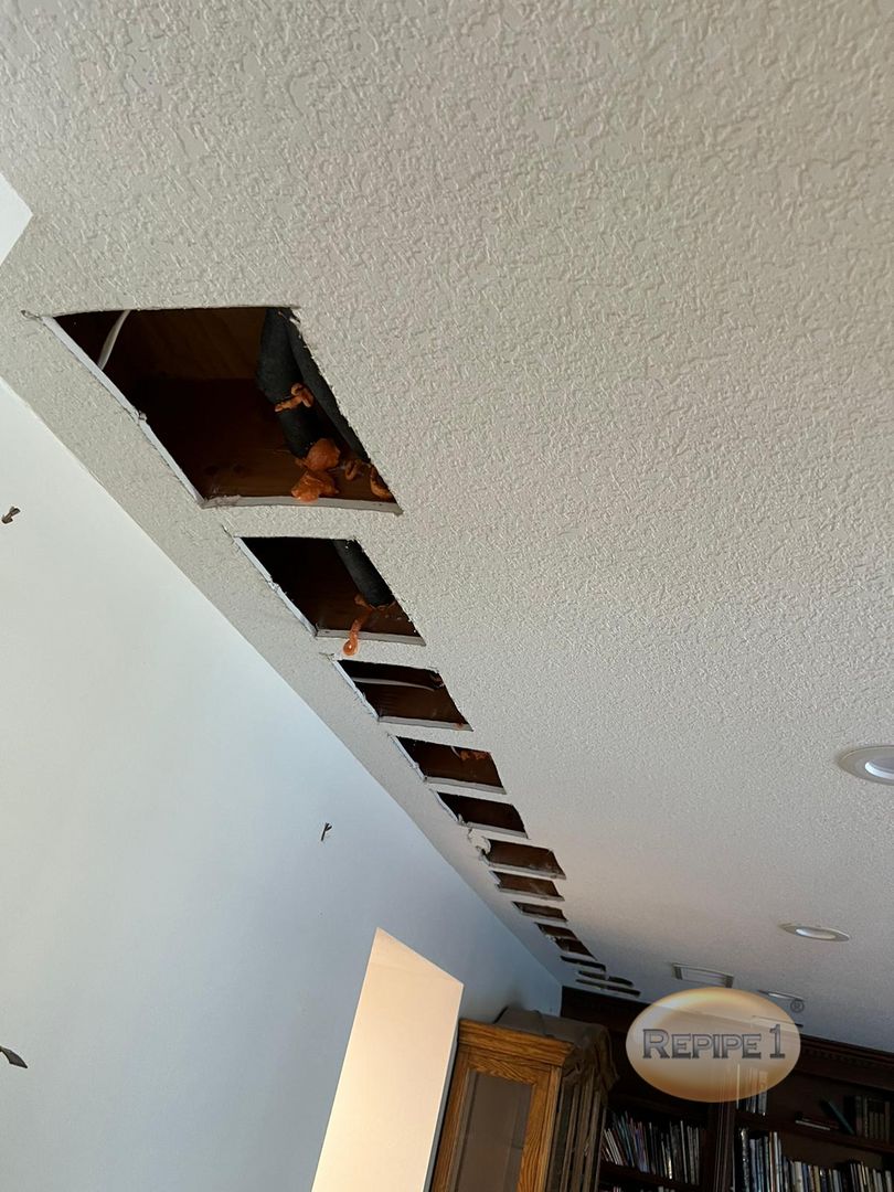Ceiling with multiple cutouts revealing piping and internal structures, indicating ongoing repair or maintenance work in a residential area.