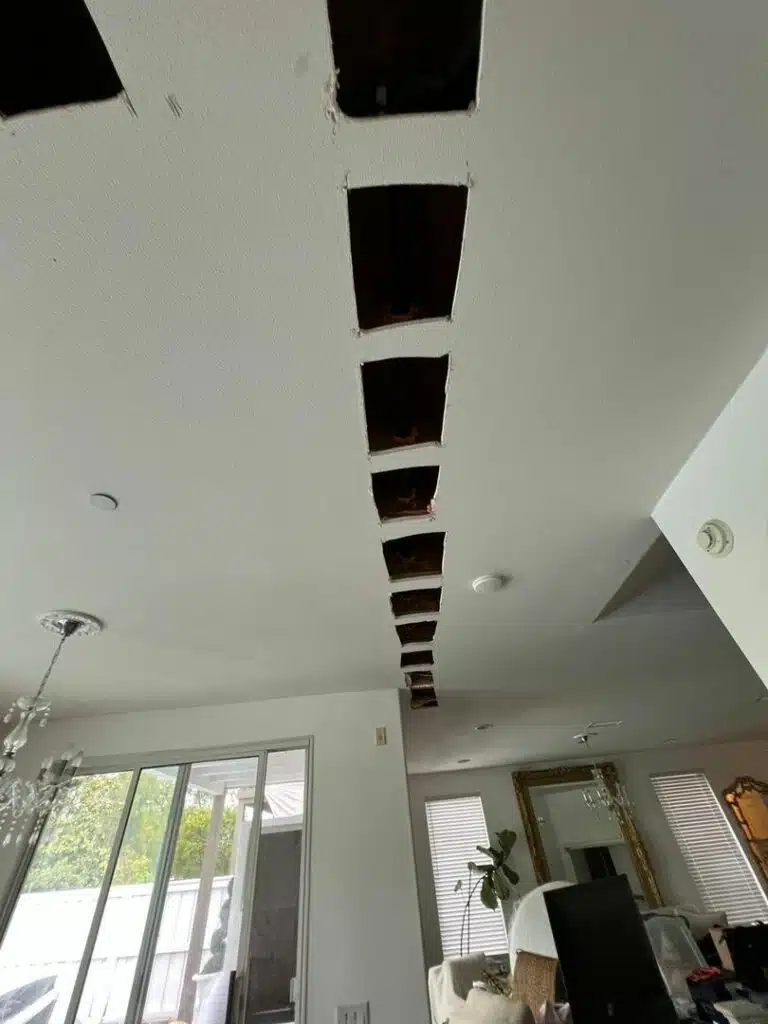 San Clemente Homeowner Gets Fast & Reliable Pex Repipe Thanks to Repipe 1