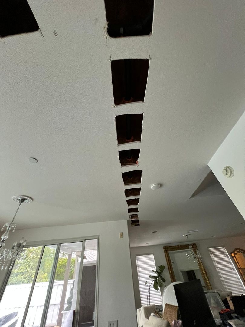 San Clemente Homeowner Gets Fast & Reliable Pex Repipe Thanks to Repipe 1