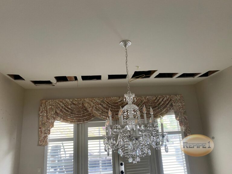 Repipe1: The Whole-House Repiping Experts in Walnut