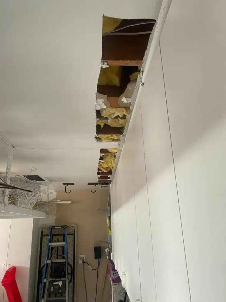 image30 (3).jpeg