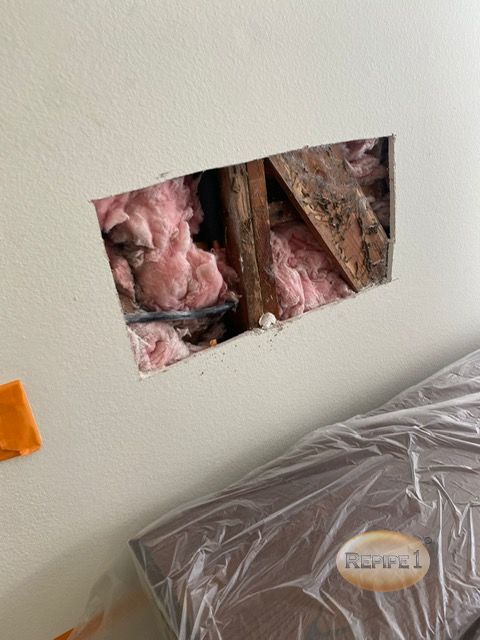 image3 (22) (1).jpeg